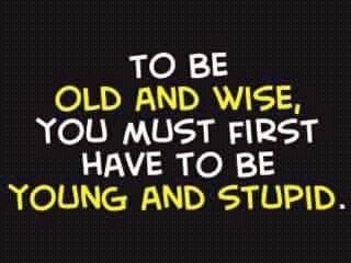old_wise.jpg