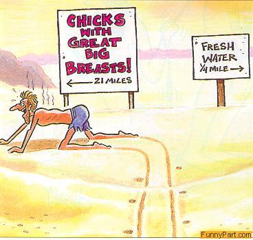 water_chick.jpg